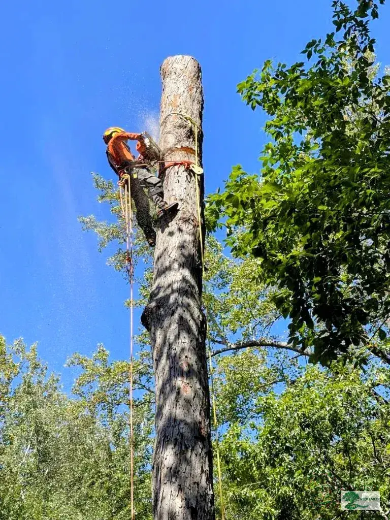 Storm Cleanup Operations